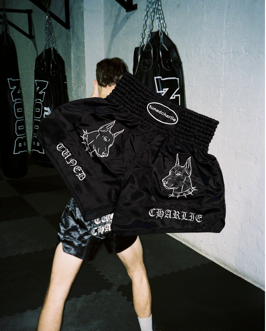 Doberman Muay Thai Shorts