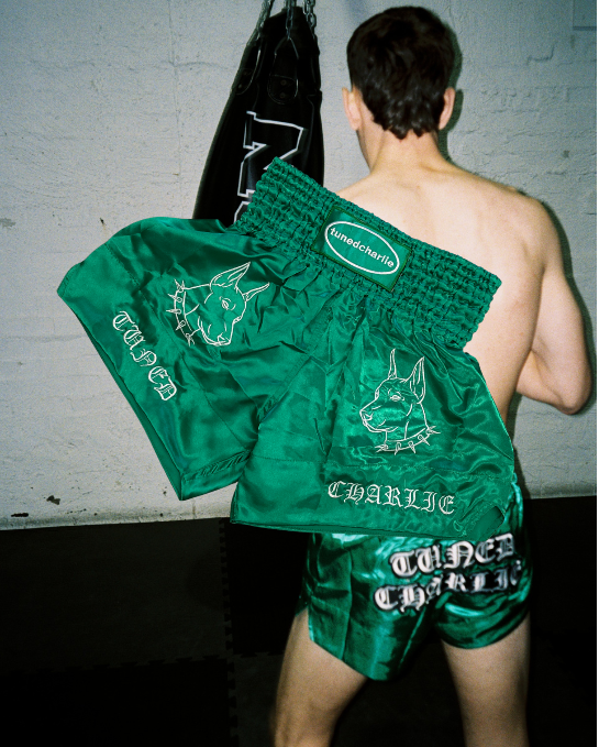 Doberman Muay Thai Shorts